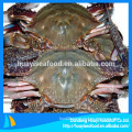 Blue Swimming Crab In Fresh Seafood Wholesale
